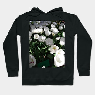 Tulip Time in Canberra Australia 10 Hoodie